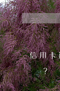 信用卡逾期三個月被起訴，銀行將如何處理？
